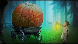 composing  Photomontage für Anfänger bis zum Profi