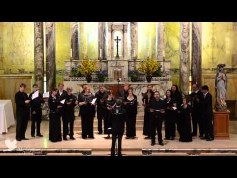 Amazing Grace - Arr. Robert Shaw-Alice Parker - Skylark Vocal Ensemble