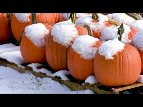 Early snow storm turns Rice Lake into a winter wonderland - 10/16/2020