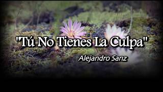 Tu No Tienes la Culpa  -Alejandro Sanz (English Subtitles)