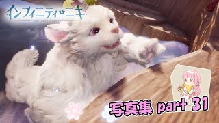 【インフィニティニキ】白の芽吹き【写真集part:31】