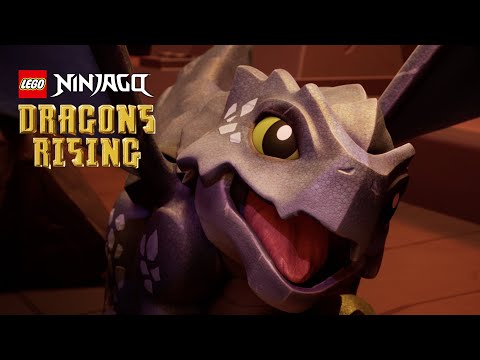 Thumbnail of the video: NINJAGO Dragons Rising | Baby Dragon Riyu