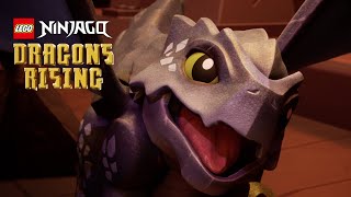 NINJAGO Dragons Rising | Baby Dragon Riyu