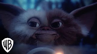 Gremlins | Trailer | Warner Bros. Entertainment