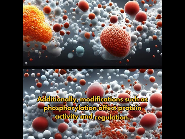 Exploring the Structure and Functions of Proteins: The Building Blocks ...