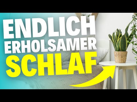 Die 5 BESTEN Zimmerpflanzen für dein Schlafzimmer!