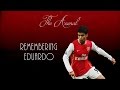 Remembering Eduardo ● Arsenal FC