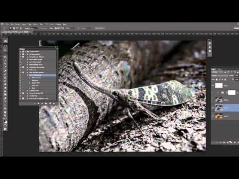 Photoshop Tutorials | Adobe Photoshop Tutorials Introduction