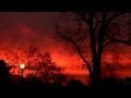 Tindersticks - Running Wild