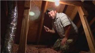Pest Control : How to Remove Bees From the Attic