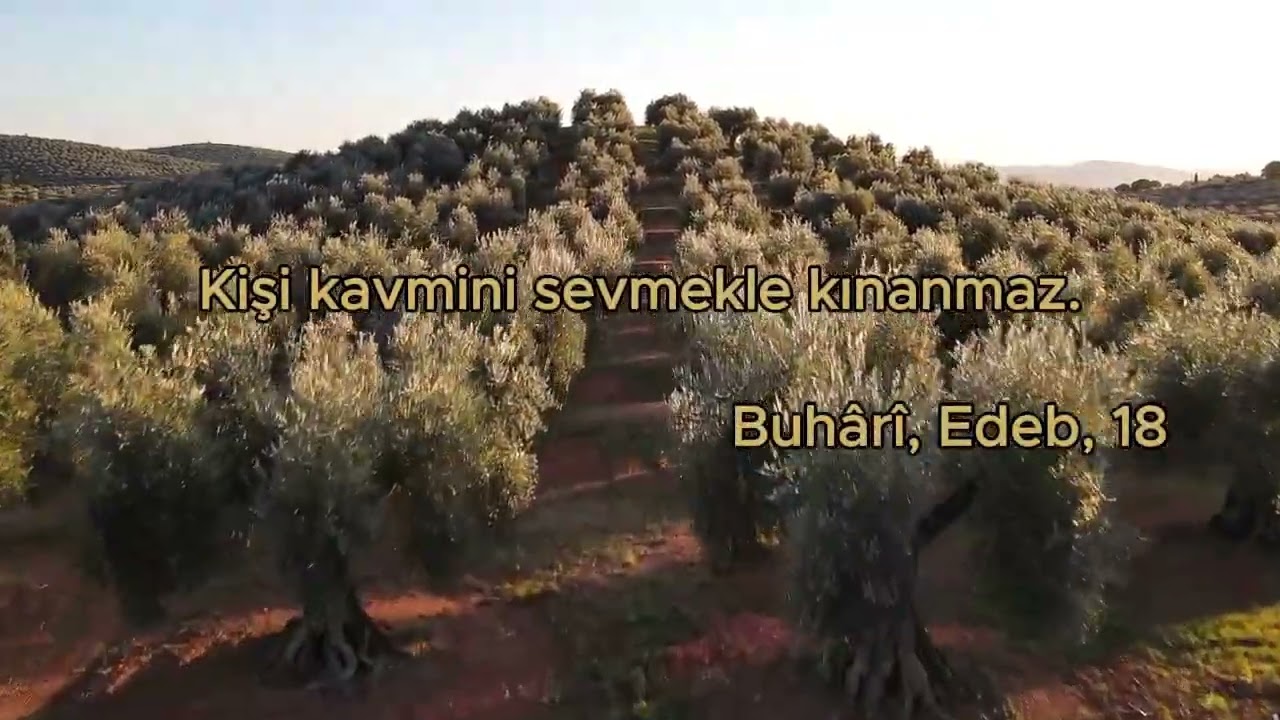 Gerçek Sevgi mi, Yoksa Irkçılık mı? 🤔 #hadis