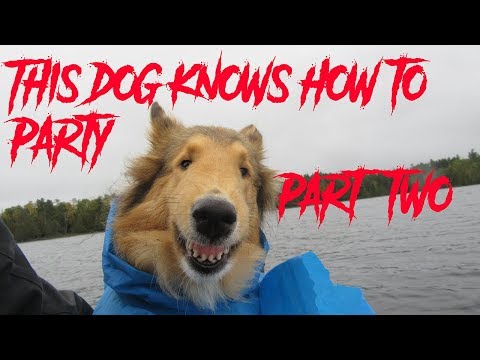 10 Days (Almost) Alone in the Wilderness - Part 2 of 3