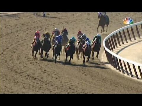 2014 Suburban Stakes