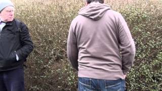 Трейлер превью