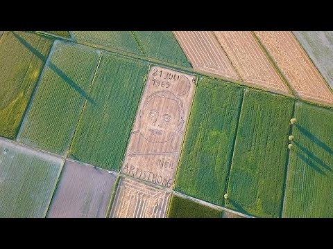 Giant portrait of Neil Armstrong created in Italy wheat field for Apollo 11 anniversary
