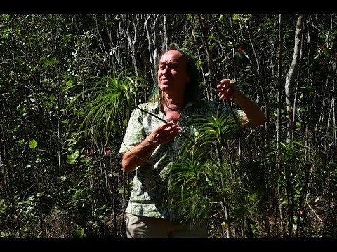 FIELD TRIP WITH PATRICK BLANC IN CUBA - MOGOTES TO BARACOA