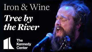 Iron &amp; Wine - &quot;Tree by the River&quot; | The Kennedy Center