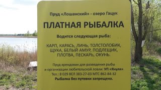 Платная рыбалка оформление документов