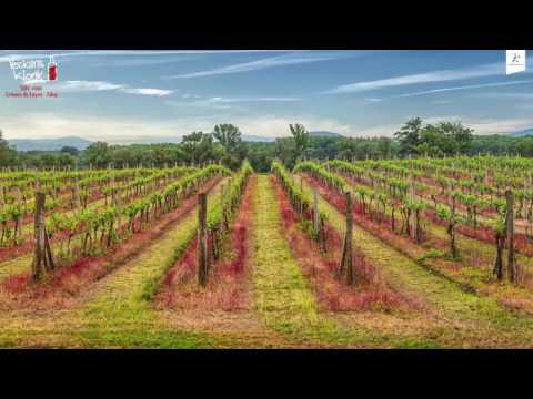 Veckans Klonk 15 - Tokaj vs Loire