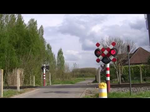 Spoorwegovergang/Railroad Crossing Bambrugge, B