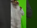Mera To Jo Bhi Kadam He Wo Teri Rah Me He Mohd Rafi Song