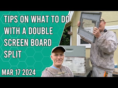 Tips on What To Do With a Double Screen Board Split - Jacksonville FL Zone 9b