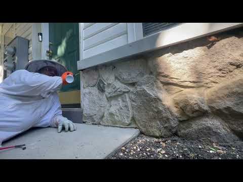 Exterminating the Yellow Jackets Underneath the Siding in Tinton Falls, NJ