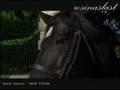 01 BLACK BEAUTY MAIN TITLES 1994 SOUNDTRACK