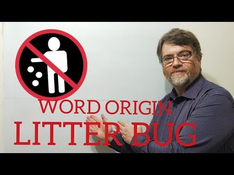 英語の家庭教師ニックPの単語の起源(8)リッターバグ (English Tutor Nick P Word Origins (8) Litter Bug)