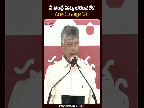 నీ తండ్రే నిన్ను దూరం పెట్టాడు: CM Chandrababu On YS Jagan | YSR | TV5 News
