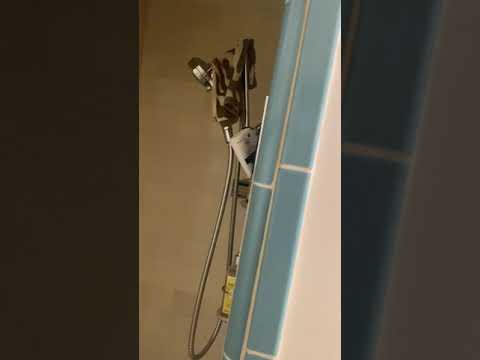 520 N. Rossmore Ave Apt. 204