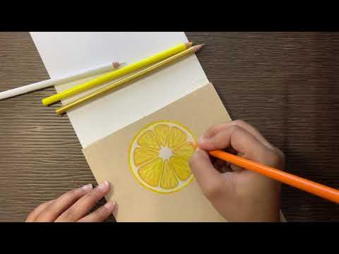 Drawing LEMON SLICE using PRISMACOLOR PENCIL