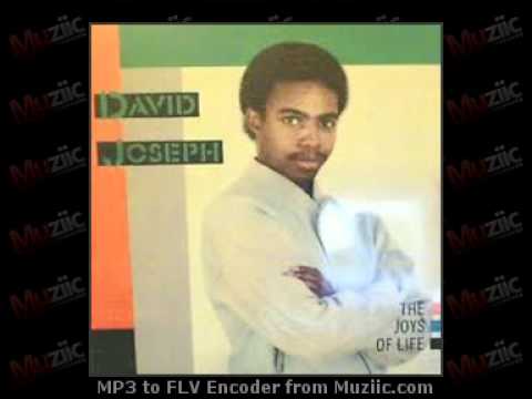 David Joseph - Joys Of Life.flv