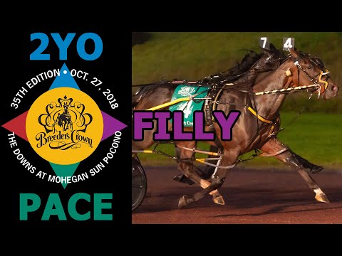 2018 Breeders Crown - Warrawee Ubeaut - 2YO Filly Pace