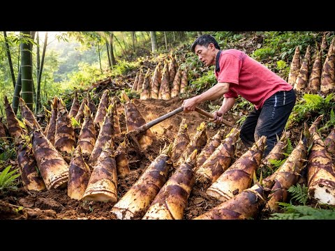RARE Wild Bamboo Shoot Harvest  Massive Forest Collection & goes to the Market to sell
