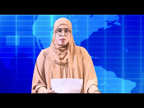 Warka Universal TV  01 11 2025