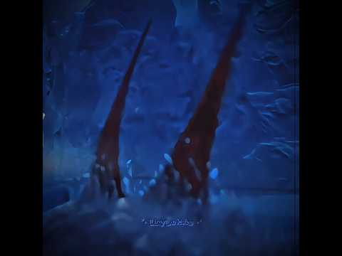 《Ｓｅａｓｈｏｃｋｅｒ》