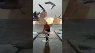 Download lagu Tiada Yang Seperti Aku #liriklagu #videoshort mp3 Download lagu Tiada Yang Seperti Aku #liriklagu #videoshort mp3