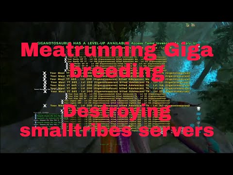Meatrunning breeding base on server 80 & Humiliating Smalltribes servers 🌪🔥 | Ark Official Pvp