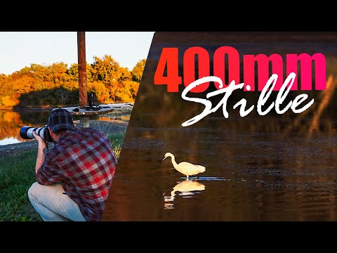 Herbstlicht in Istrien | Canon 5D Mark IV in Bewegung