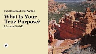 What Is Your True Purpose? – Daily Devotional