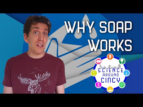 Science Over Everything: Why Soap Works