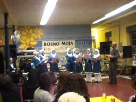 Hor Bulbuli Louisville