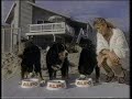 Alpo Dog Food Commerical 1987