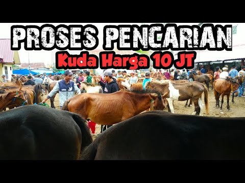 , title : 'Proses Pencarian Kuda - Harga 10 Juta Rupiah | Pasar Kuda | Kuda Part 90 [Sub]'