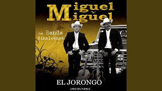 Amarga Derrota (Banda)