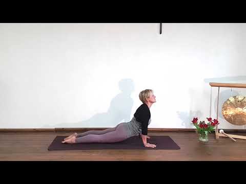 Yoga: Herunterschauender Hund in Variation mit Heraufschauender Hund (Urdhva Mukha Shvanasana)