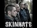 Skinhate - Квиток до раю / Руйнація 2014 