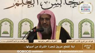 صورة 128 - آية تقطع عروق شجرة الشرك من أصولها - الشيخ سعد بن شايم الحضيري