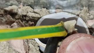 Preview of Tripping RCD Shripney.